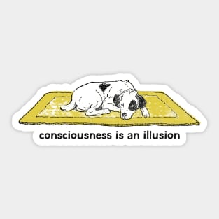 Consciousness Is An Illusion Sticker